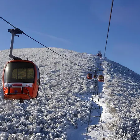 Апартаменты Neat In 